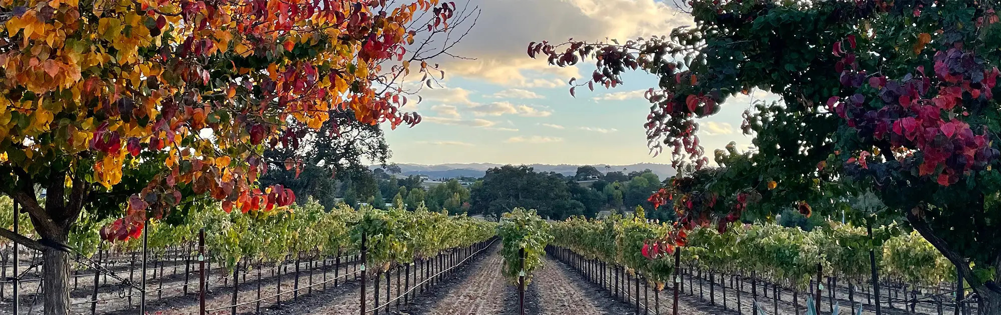 Meet the People Behind Red Door Ranch Vineyard